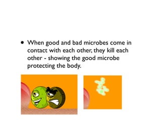 • When good and bad microbes come in
  contact with each other, they kill each
  other - showing the good microbe
  protecting the body.
 