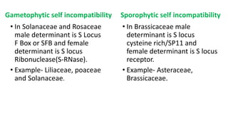 Self Incompatible Locus Gametophytic self incompatibility vs sporophytic self incompatibilty | PPTX
