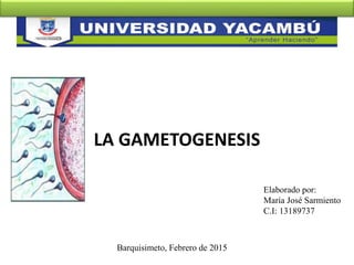 Elaborado por:
María José Sarmiento
C.I: 13189737
Barquisimeto, Febrero de 2015
LA GAMETOGENESIS
 