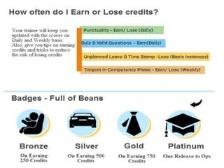 Gamification Guidelines