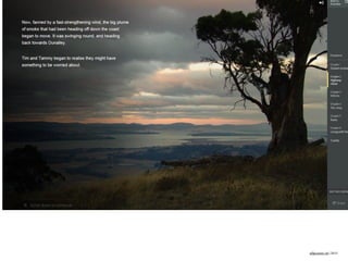 ulfgruener.de | 2015
http://www.theguardian.com/world/interactive/2013/may/26/firestorm-bushfire-dunalley-holmes-family
 