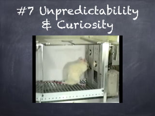 #7 Unpredictability
& Curiosity
 
