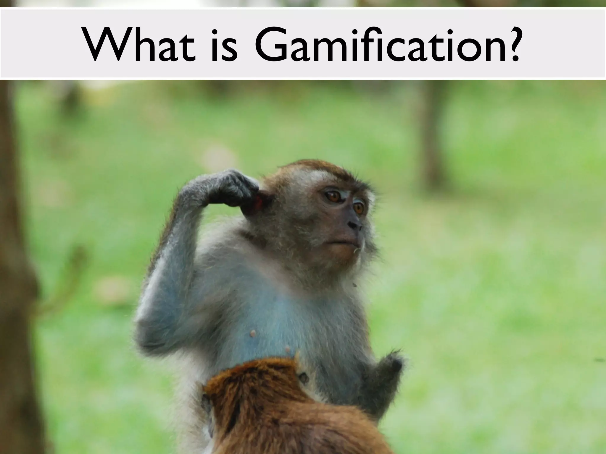 What is Gamiﬁcation?
 