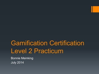 Gamification Certification
Level 2 Practicum
Bonnie Meinking
July 2014
 