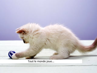 Tout  le  monde  joue...
 