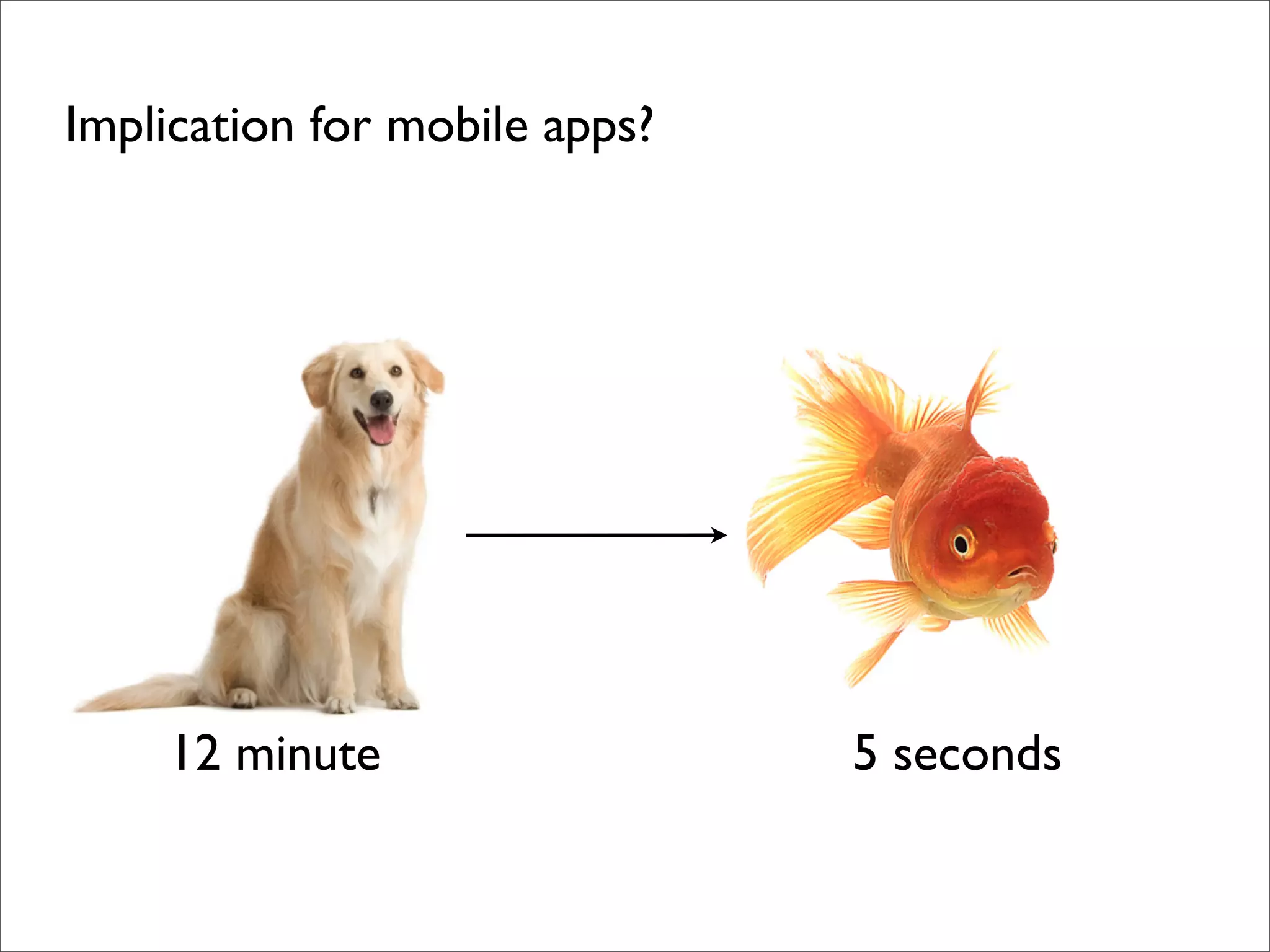 Implication for mobile apps?
12 minute 5 seconds