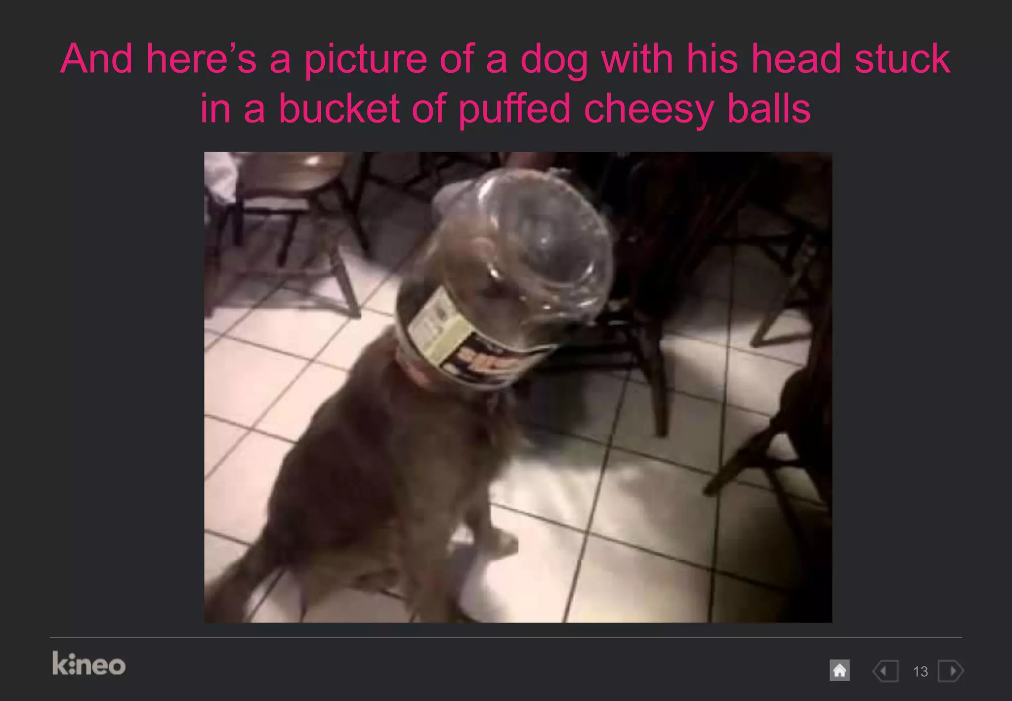 13
And here’s a picture of a dog with his head stuck
in a bucket of puffed cheesy balls
 