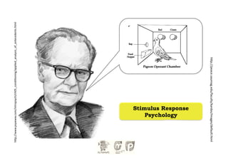 h-p://www.psywww.com/intropsych/ch05_condi?oning/applied_analysis_of_antecedents.html	
  




                     Psychology
                 Stimulus Response




h-p://peace.saumag.edu/faculty/kardas/Images/default.html	
  
 