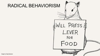RADICAL BEHAVIORISM 
Image by Craig Swanson 
 