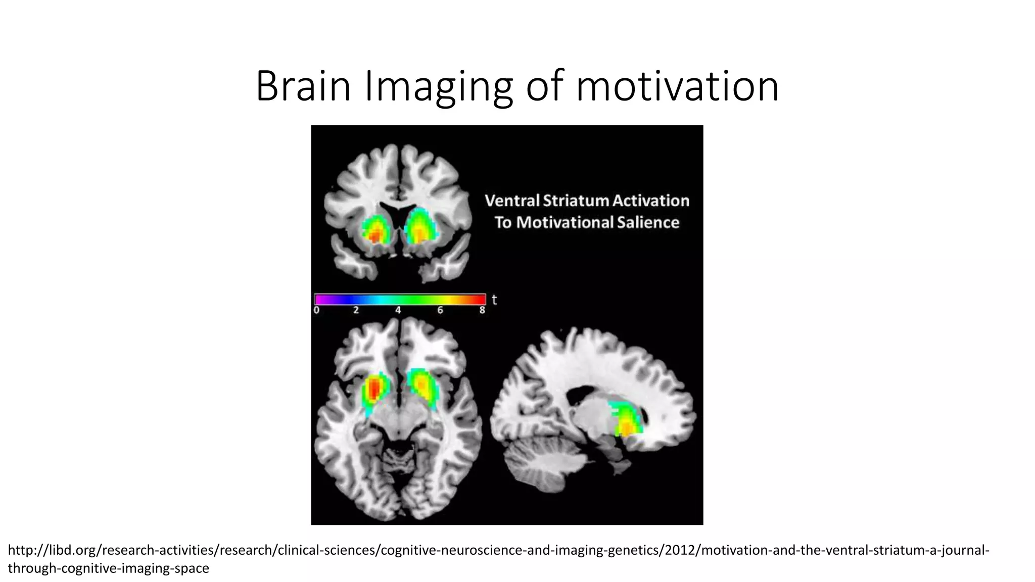 Brain Imaging of motivation
http://libd.org/research-activities/research/clinical-sciences/cognitive-neuroscience-and-imaging-genetics/2012/motivation-and-the-ventral-striatum-a-journal-
through-cognitive-imaging-space
 