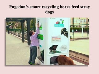 Pugedon’s smart recycling boxes feed stray
dogs
 