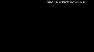 SOLUTION: ARIZONA BAY SCENARIO
 