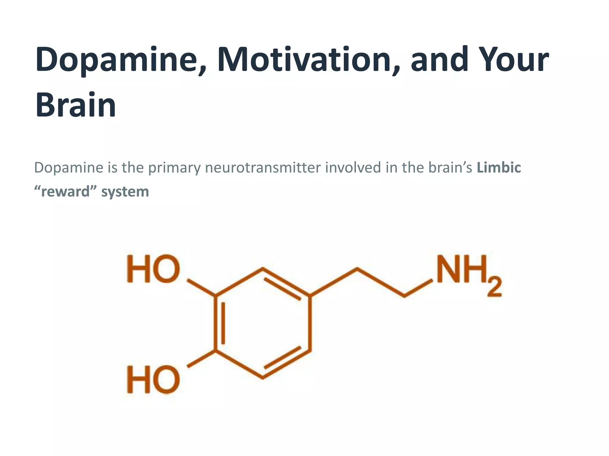 Dopamine is the primary neurotransmitter involved in the brain’s Limbic
“reward” system
Dopamine, Motivation, and Your
Brain
 