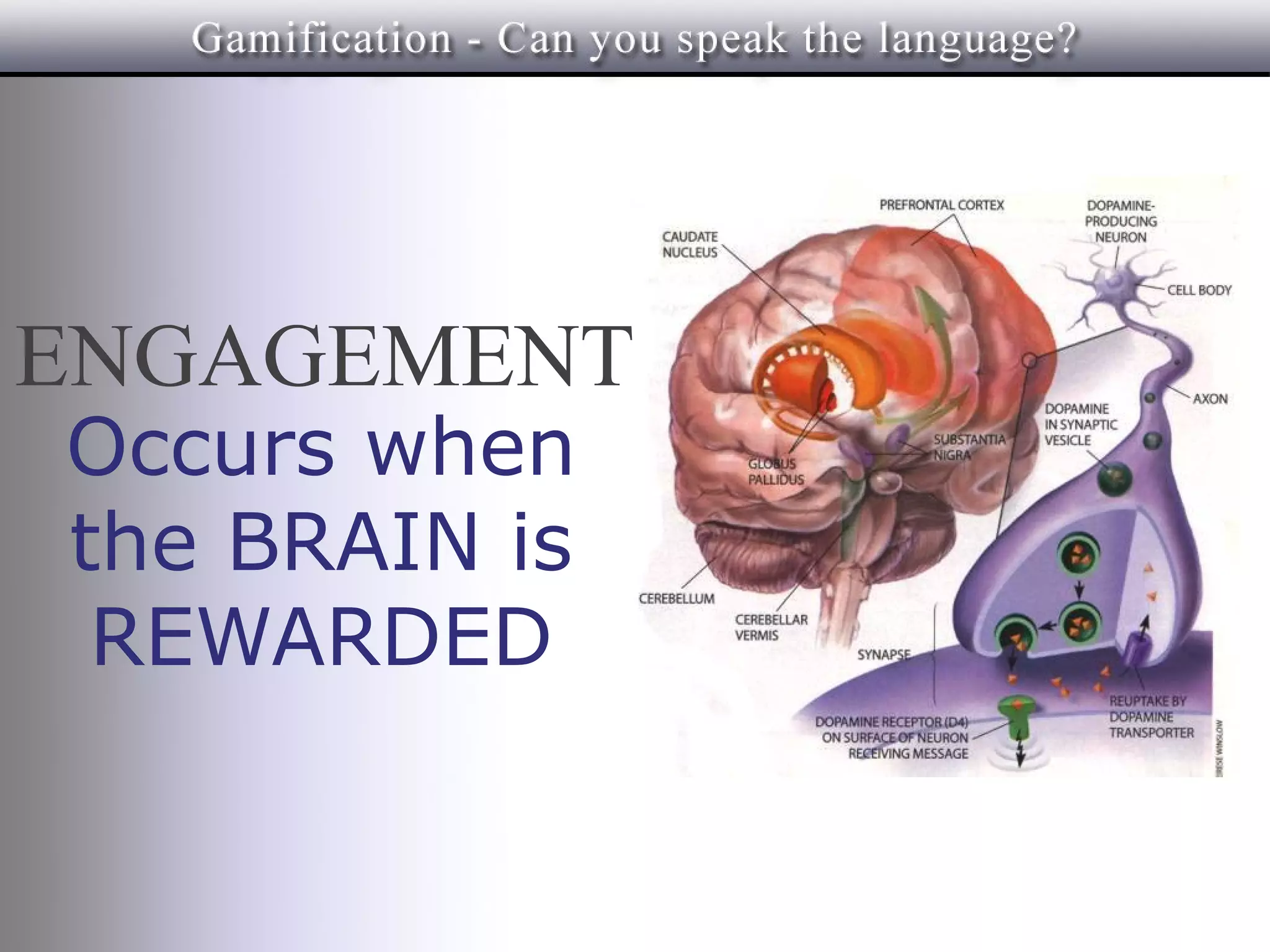 ENGAGEMENT
Occurs when
the BRAIN is
 REWARDED
 