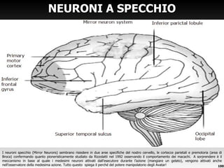 NEURONI A SPECCHIO I neuroni specchio (Mirror Neurons) sembrano risiedere in due aree specifiche del nostro cervello, le cortecce parietali e premotoria (area di Broca) confermando quanto pioneristicamente studiato da Rizzolatti nel 1992 osservando il comportamento dei macachi.  A sorprendere è il meccanismo in base al quale i medesimi neuroni attivati dall ’esecutore durante l’azione (mangiare un gelato), vengono attivati anche nell’osservatore della medesima azione. Tutto questo  spiega il perché del potere manipolatorio degli Avatar! 