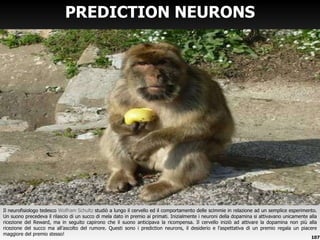 PREDICTION NEURONS Il neurofisiologo tedesco  Wolfram Schultz  studiò a lungo il cervello ed il comportamento delle scimmie in relazione ad un semplice esperimento. Un suono precedeva il rilascio di un succo di mela dato in premio ai primati. Inizialmente i neuroni della dopamina si attivavano unicamente alla ricezione del Reward, ma in seguito capirono che il suono anticipava la ricompensa. Il cervello iniziò ad attivare la dopamina non più alla ricezione del succo ma all ’ascolto del rumore. Questi sono i prediction neurons, il desiderio e l’aspettativa di un premio regala un piacere maggiore del premio stesso! 