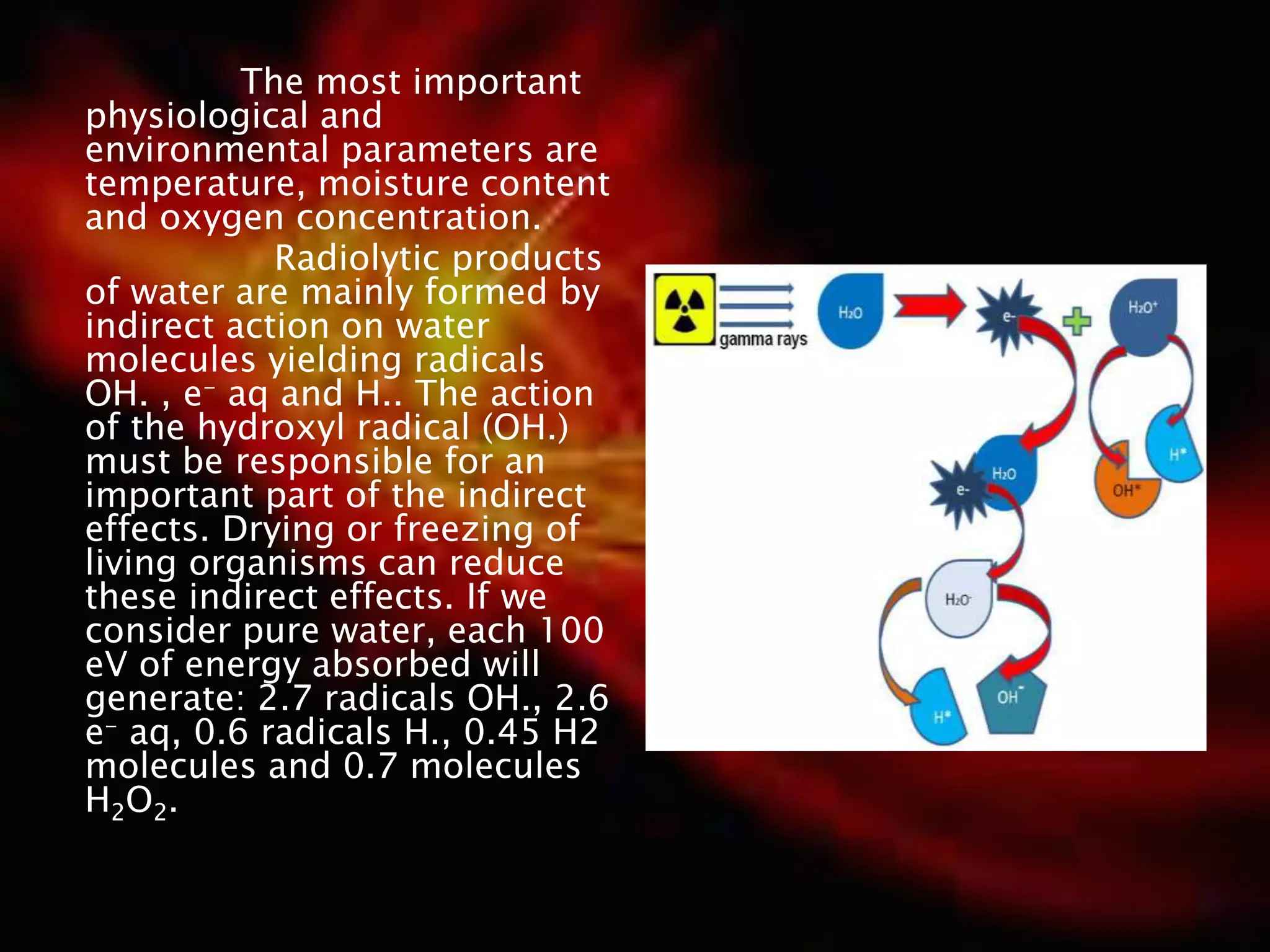 The most important
physiological and
environmental parameters are
temperature, moisture content
and oxygen concentration.
Radiolytic products
of water are mainly formed by
indirect action on water
molecules yielding radicals
OH. , e- aq and H.. The action
of the hydroxyl radical (OH.)
must be responsible for an
important part of the indirect
effects. Drying or freezing of
living organisms can reduce
these indirect effects. If we
consider pure water, each 100
eV of energy absorbed will
generate: 2.7 radicals OH., 2.6
e- aq, 0.6 radicals H., 0.45 H2
molecules and 0.7 molecules
H2O2.
 