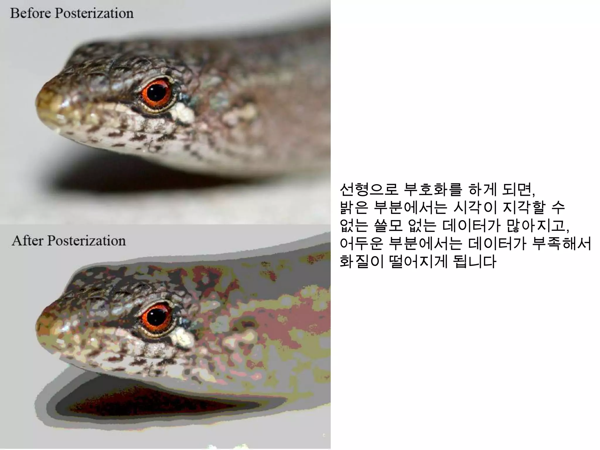 선형으로 부호화를 하게 되면,
밝은 부분에서는 시각이 지각할 수
없는 쓸모 없는 데이터가 많아지고,
어두운 부분에서는 데이터가 부족해서
화질이 떨어지게 됩니다
 