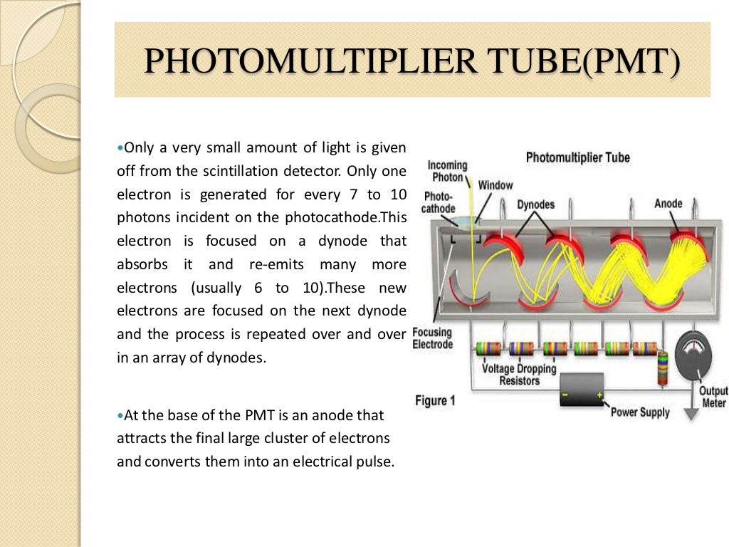 Gamma Camera