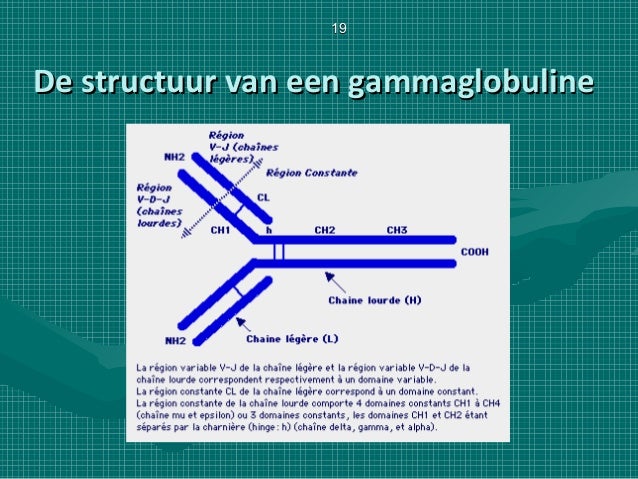 Gammaglobulines presentatie december 2013 origineel