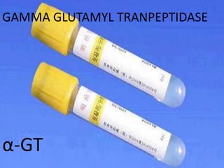 GAMMA GLUTAMYL TRANPEPTIDASE




α-GT
 
