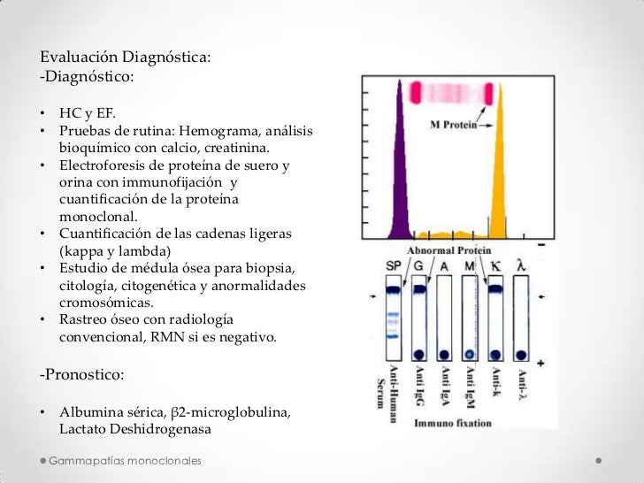 Download Electroforesis De Proteinas Plasmaticas Pdf