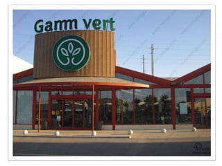 Gamm vert
