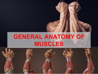 GENERAL ANATOMY OF
MUSCLES
08/10/2016
 