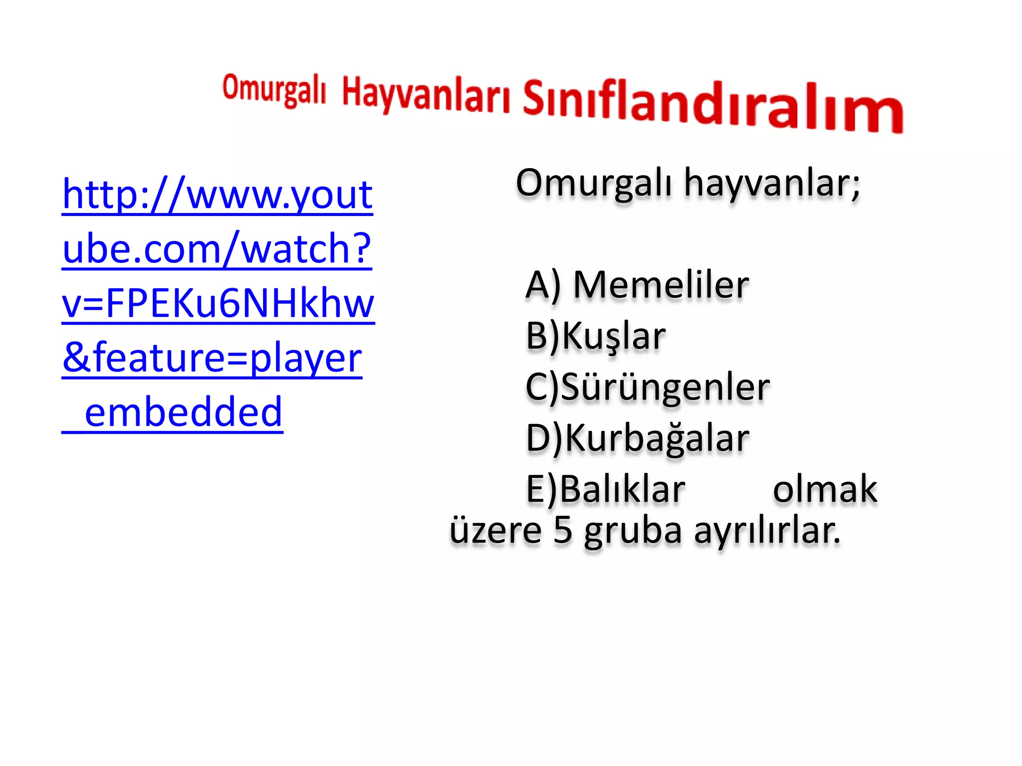 http://www.yout      Omurgalı hayvanlar;
ube.com/watch?
v=FPEKu6NHkhw         A) Memeliler
                      B)Kuşlar
&feature=player
                      C)Sürüngenler
_embedded
                      D)Kurbağalar
                      E)Balıklar      olmak
                  üzere 5 gruba ayrılırlar.
 