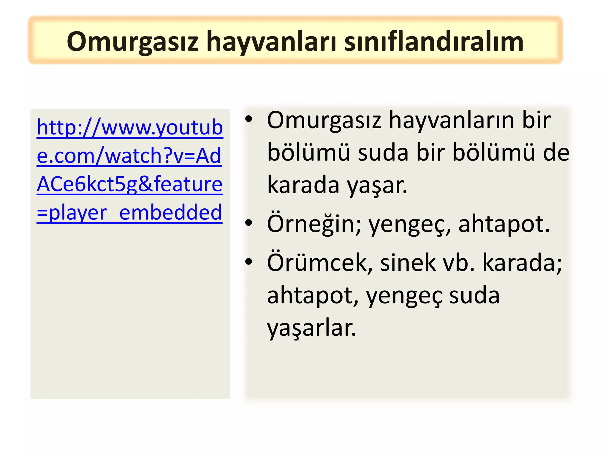 Omurgasız hayvanları sınıflandıralım

http://www.youtub • Omurgasız hayvanların bir
e.com/watch?v=Ad    bölümü suda bir bölümü de
ACe6kct5g&feature   karada yaşar.
=player_embedded
                 • Örneğin; yengeç, ahtapot.
                 • Örümcek, sinek vb. karada;
                   ahtapot, yengeç suda
                   yaşarlar.
 