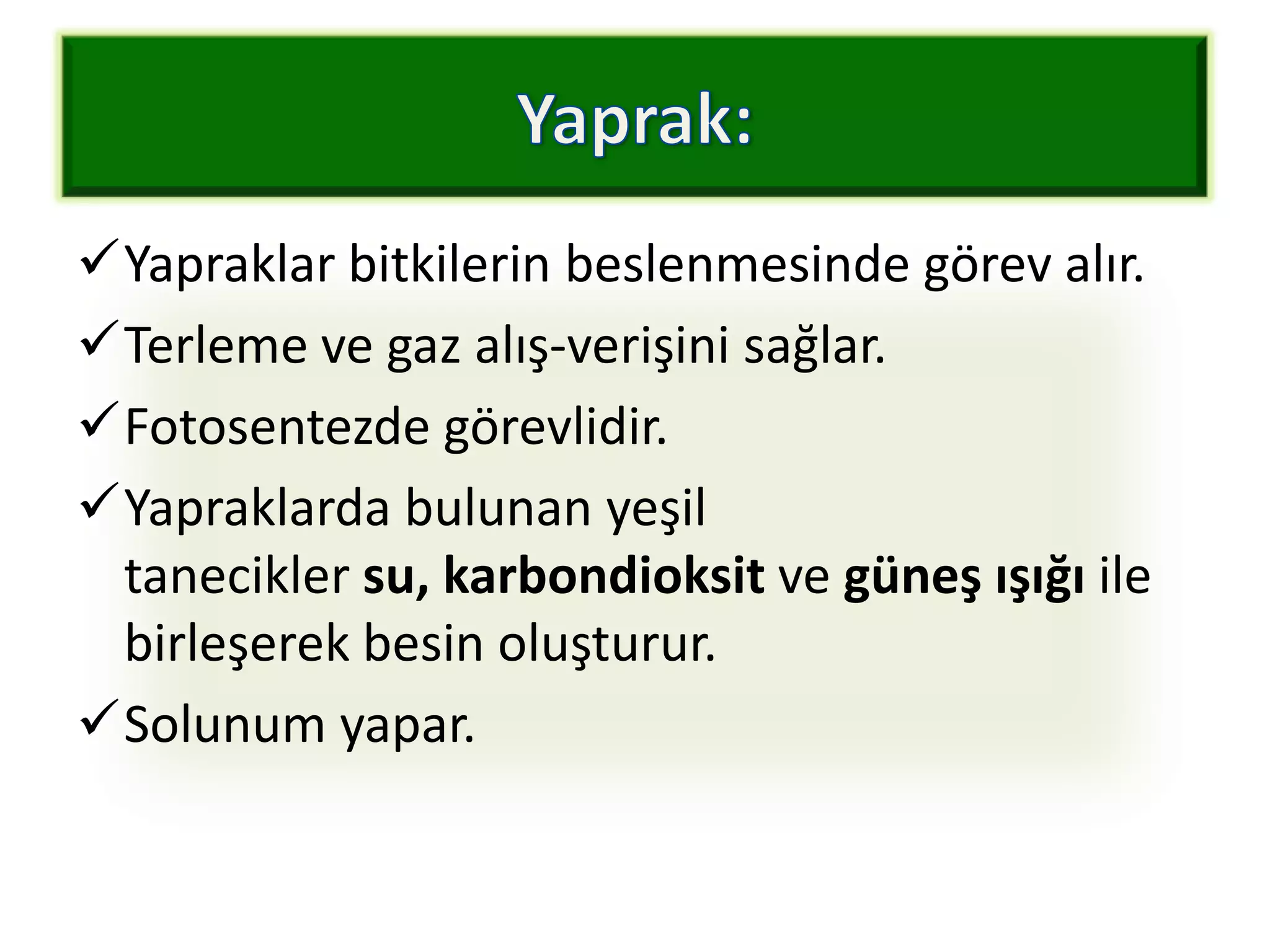 Yapraklar bitkilerin beslenmesinde görev alır.
Terleme ve gaz alış-verişini sağlar.
Fotosentezde görevlidir.
Yapraklarda bulunan yeşil
 tanecikler su, karbondioksit ve güneş ışığı ile
 birleşerek besin oluşturur.
Solunum yapar.
 