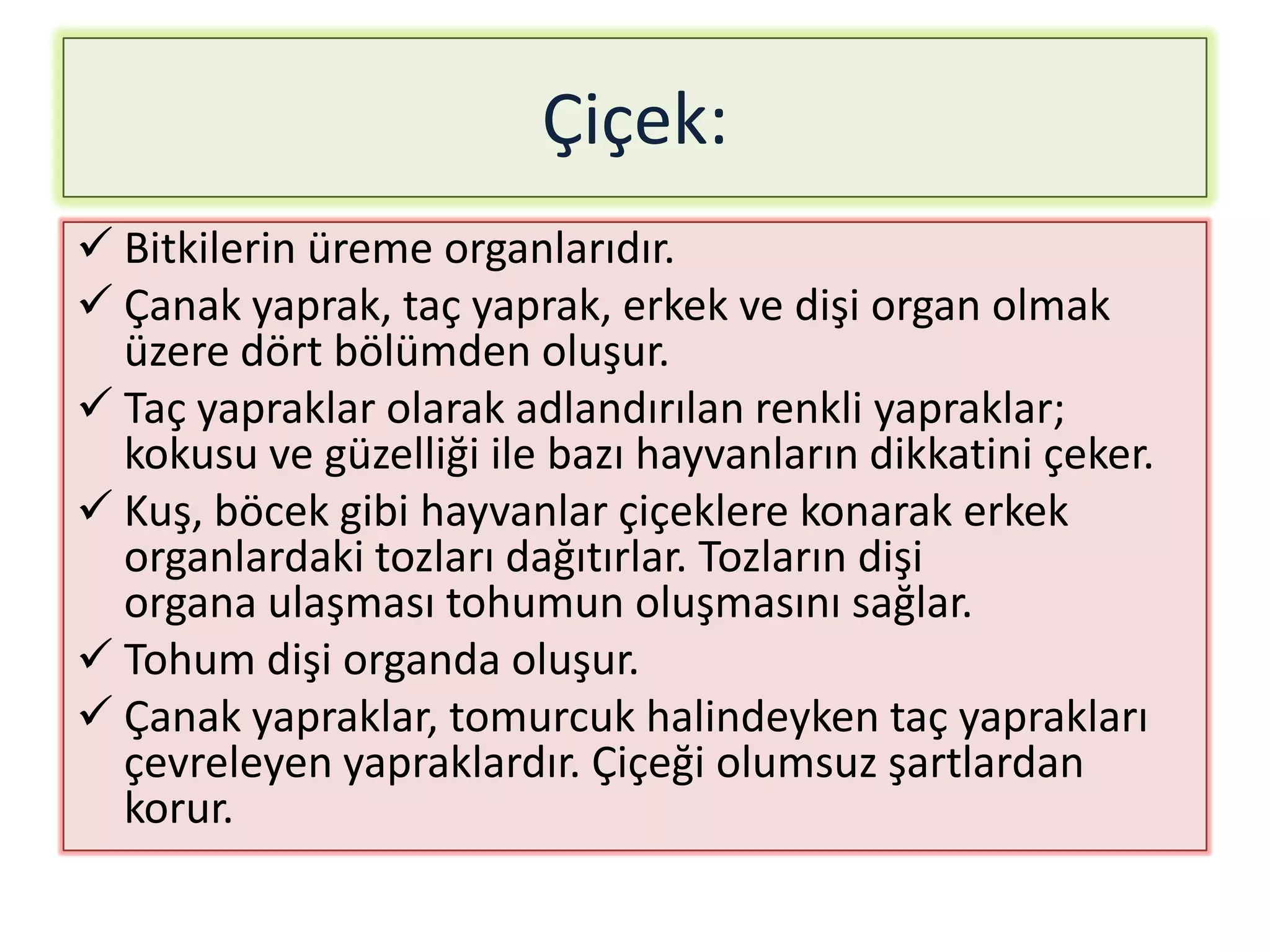 Çiçek:
 Bitkilerin üreme organlarıdır.
 Çanak yaprak, taç yaprak, erkek ve dişi organ olmak
  üzere dört bölümden oluşur.
 Taç yapraklar olarak adlandırılan renkli yapraklar;
  kokusu ve güzelliği ile bazı hayvanların dikkatini çeker.
 Kuş, böcek gibi hayvanlar çiçeklere konarak erkek
  organlardaki tozları dağıtırlar. Tozların dişi
  organa ulaşması tohumun oluşmasını sağlar.
 Tohum dişi organda oluşur.
 Çanak yapraklar, tomurcuk halindeyken taç yaprakları
  çevreleyen yapraklardır. Çiçeği olumsuz şartlardan
  korur.
 