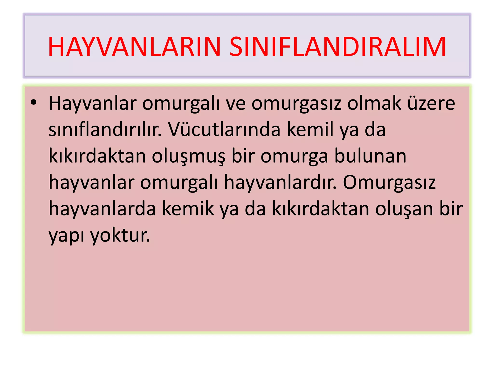 HAYVANLARIN SINIFLANDIRALIM
• Hayvanlar omurgalı ve omurgasız olmak üzere
  sınıflandırılır. Vücutlarında kemil ya da
  kıkırdaktan oluşmuş bir omurga bulunan
  hayvanlar omurgalı hayvanlardır. Omurgasız
  hayvanlarda kemik ya da kıkırdaktan oluşan bir
  yapı yoktur.
 