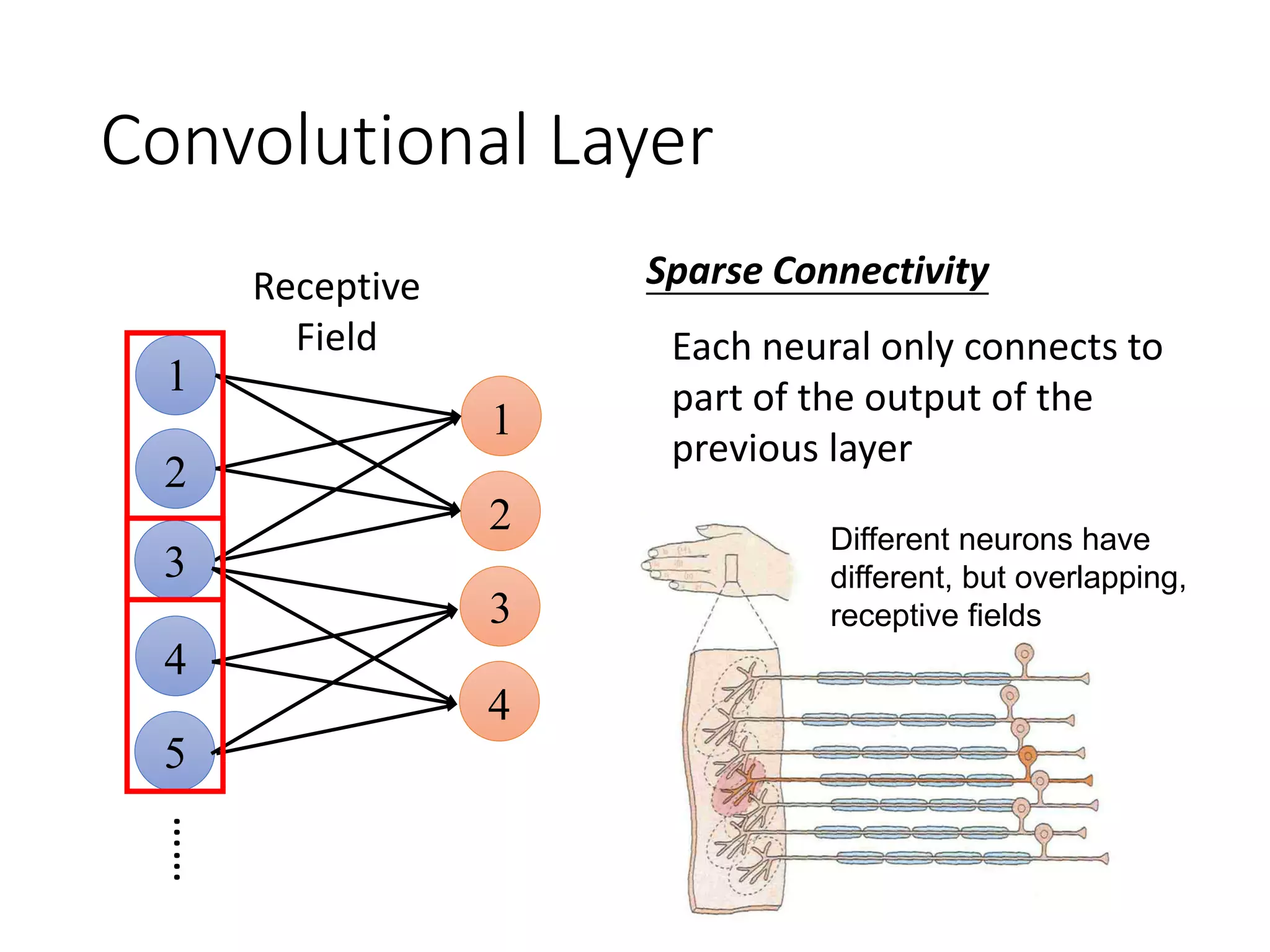 Convolutional Layer……
1
1
2
2
Sparse Connectivity
3
4
5
Each neural only connects to
part of the output of the
previous layer
3
4
Receptive
Field
Different neurons have
different, but overlapping,
receptive fields
 