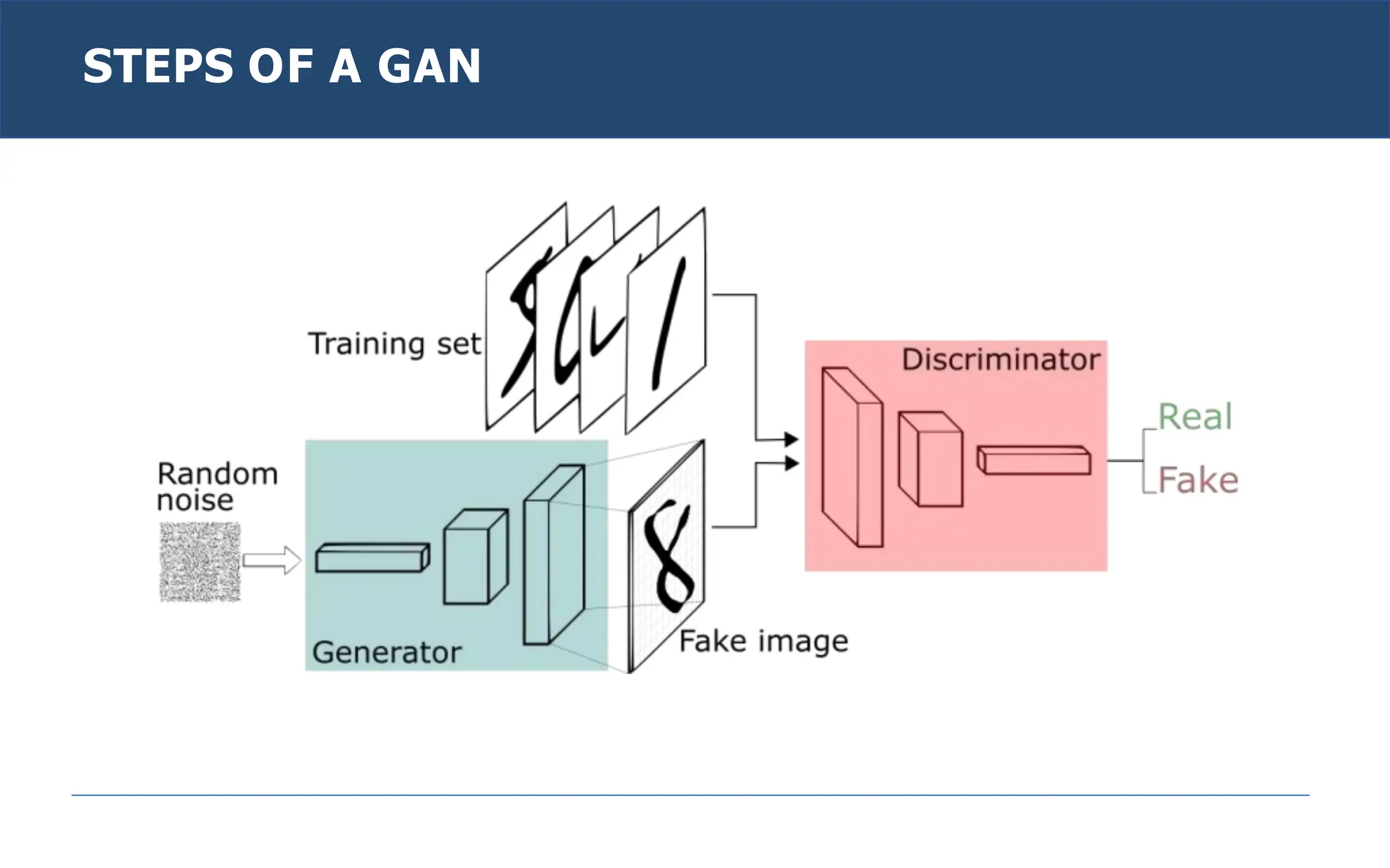 STEPS OF A GAN
 