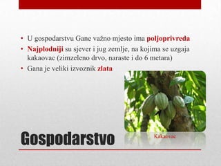 • U gospodarstvu Gane vaţno mjesto ima poljoprivreda
• Najplodniji su sjever i jug zemlje, na kojima se uzgaja
  kakaovac (zimzeleno drvo, naraste i do 6 metara)
• Gana je veliki izvoznik zlata




Gospodarstvo                                Kakaovac
 