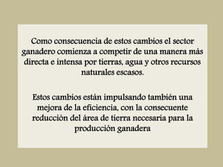 Como consecuencia de estos cambios el sector
ganadero comienza a competir de una manera más
directa e intensa por tierras, agua y otros recursos
naturales escasos.
Estos cambios están impulsando también una
mejora de la eficiencia, con la consecuente
reducción del área de tierra necesaria para la
producción ganadera
 