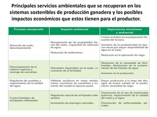 Principales servicios ambientales que se recuperan en los
sistemas sostenibles de producción ganadera y los posibles
impactos económicos que estos tienen para el productor.
 