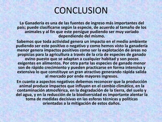 CONCLUSION
La Ganadería es una de las fuentes de ingreso más importantes del
país; puede clasificarse según la especie, de acuerdo al tamaño de los
animales y al fin que este persigue pudiendo ser muy variado
dependiendo del mismo.
Sabemos que toda actividad genera un impacto en el medio ambiente
pudiendo ser este positivo o negativo y como hemos visto la ganadería
menor genera impactos positivos como ser la explotación de áreas no
propicias para la agricultura a través de la cría de especies de ganado
ovino puesto que se adaptan a cualquier habitad y son pocos
exigentes en alimentos. Por otra parte las especies de ganado menor
son de rápido crecimiento y pueden practicarse en forma intensiva y
extensiva lo que constituye un gran atractivo generando rápida salida
al mercado por ende mayores ingresos.
En cuanto a aspectos negativos debemos reconocer que la producción
animal produce impactos que influyen en el cambio climático, en la
contaminación atmosférica, en la degradación de la tierra, del suelo y
del agua, y en la reducción de la biodiversidad es importante alentar la
toma de medidas decisivas en las esferas técnicas y políticas
orientadas a la mitigación de estos daños.
 