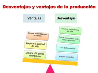 Ventajas Desventajas
 