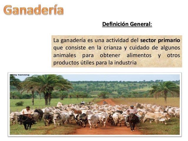 Ganadería menor slideshare