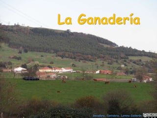 La Ganadería
Secadura, Cantabria. Lorena Calderón
 