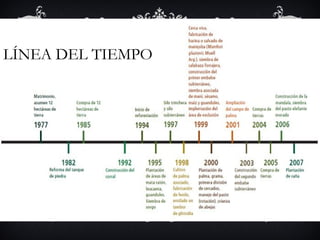 LÍNEA DEL TIEMPO
 