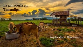 La ganadería en
Tamaulipas
Rogelio Alomar Hernández
García
1C
 
