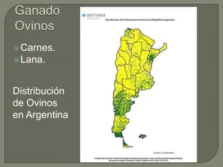  Carnes.
 Lana.



Distribución
de Ovinos
en Argentina
 