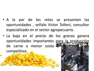 • A la par de los retos se presentan las
oportunidades , señalo Victor Tolleni, consultor
especializado en el sector agropecuario.
• La baja en el precio de los granos genera
oportunidades importantes para la producción
de carne a menor costo y de forma mas
competitiva.
 