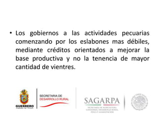 • Los gobiernos a las actividades pecuarias
comenzando por los eslabones mas débiles,
mediante créditos orientados a mejorar la
base productiva y no la tenencia de mayor
cantidad de vientres.
 