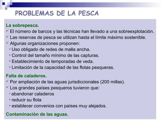 PROBLEMAS DE LA PESCA
La sobrepesca.
 El número de barcos y las técnicas han llevado a una sobreexplotación.
 Las reservas de pesca se utilizan hasta el límite máximo sostenible.
 Algunas organizaciones proponen:
• Uso obligado de redes de malla ancha.
• Control del tamaño mínimo de las capturas.
• Establecimiento de temporadas de veda.
• Limitación de la capacidad de las flotas pesqueras.
Falta de caladeros.
 Por ampliación de las aguas jurisdiccionales (200 millas).
 Los grandes países pesqueros tuvieron que:
• abandonar caladeros
• reducir su flota
• establecer convenios con países muy alejados.
Contaminación de las aguas.
 