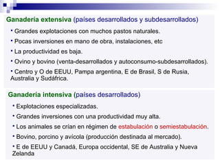 Ganadería extensiva (países desarrollados y subdesarrollados)
 Grandes explotaciones con muchos pastos naturales.
 Pocas inversiones en mano de obra, instalaciones, etc
 La productividad es baja.
 Ovino y bovino (venta-desarrollados y autoconsumo-subdesarrollados).
 Centro y O de EEUU, Pampa argentina, E de Brasil, S de Rusia,
Australia y Sudáfrica.
Ganadería intensiva (países desarrollados)
 Explotaciones especializadas.
 Grandes inversiones con una productividad muy alta.
 Los animales se crían en régimen de estabulación o semiestabulación.
 Bovino, porcino y avícola (producción destinada al mercado).
 E de EEUU y Canadá, Europa occidental, SE de Australia y Nueva
Zelanda
 
