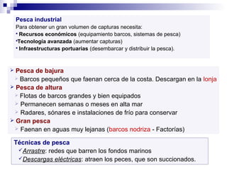 Pesca industrial
Para obtener un gran volumen de capturas necesita:
 Recursos económicos (equipamiento barcos, sistemas de pesca)
Tecnología avanzada (aumentar capturas)
 Infraestructuras portuarias (desembarcar y distribuir la pesca).
 Pesca de bajura
 Barcos pequeños que faenan cerca de la costa. Descargan en la lonja
 Pesca de altura
 Flotas de barcos grandes y bien equipados
 Permanecen semanas o meses en alta mar
 Radares, sónares e instalaciones de frío para conservar
 Gran pesca
 Faenan en aguas muy lejanas (barcos nodriza - Factorías)
Técnicas de pesca
Arrastre: redes que barren los fondos marinos
Descargas eléctricas: atraen los peces, que son succionados.
 